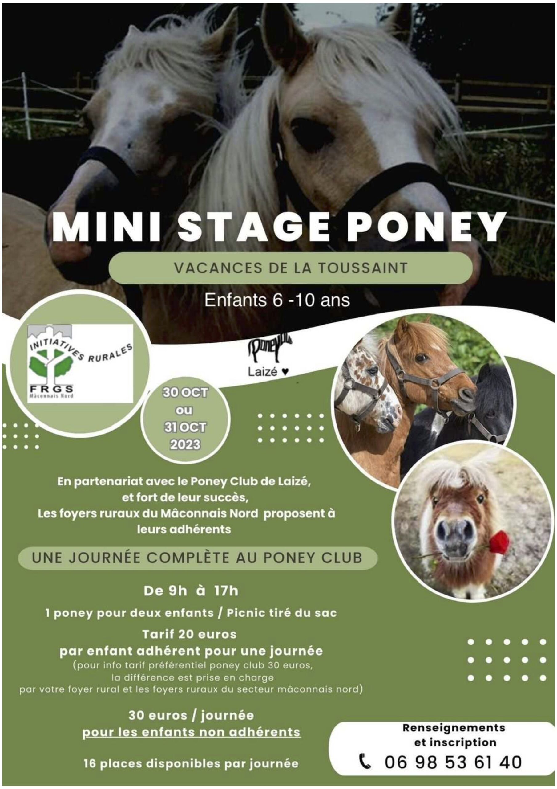 Mini stage de poney pour les 6-10 ans à Laizé