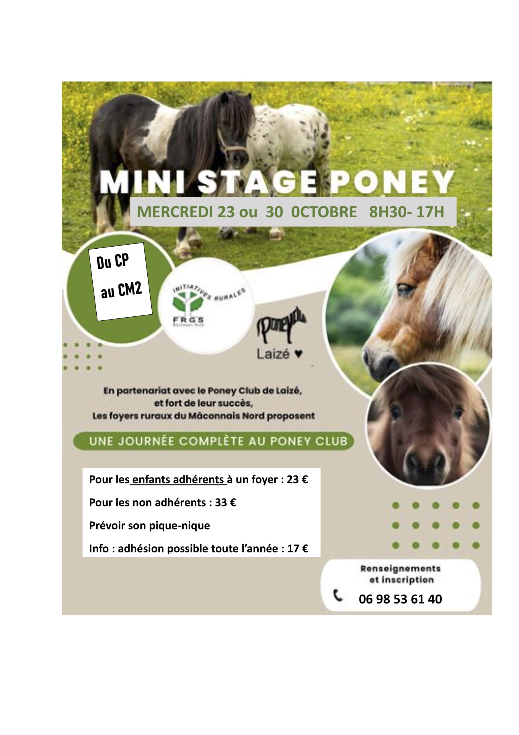 Mini stage de poney à Laizé