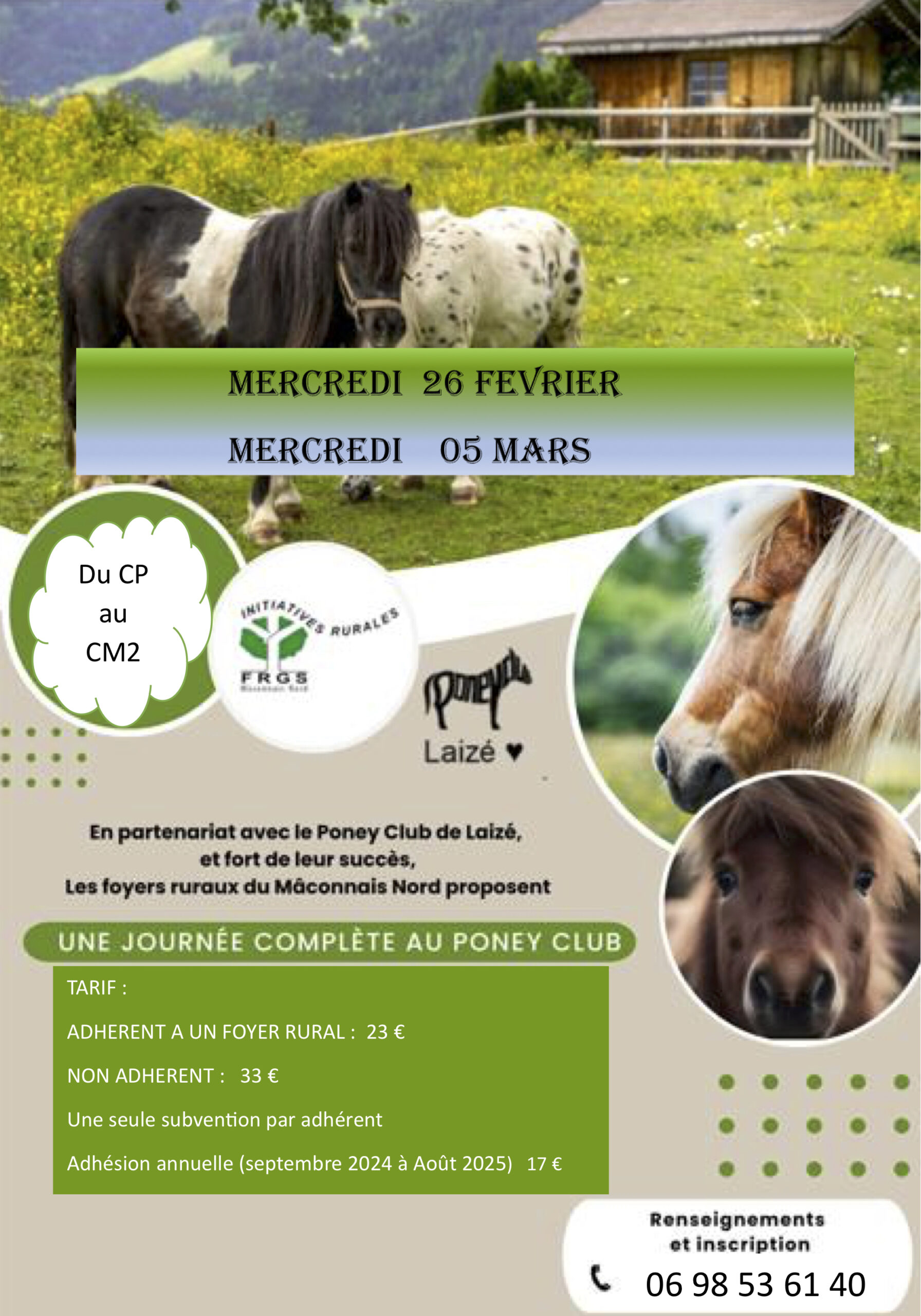 Stage de poney à la journée à Laizé