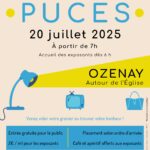 Puces à Ozenay