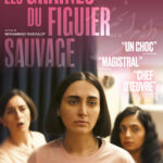 Ciné Plus - 